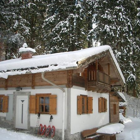 Pointhaeusl Villa Pfarrwerfen Exterior photo